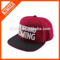 new fashion unisex 3D embroidery custom baseball caps with free sample